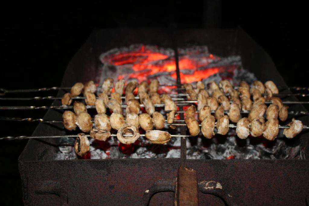 Lukas's house room 5